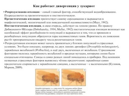 Значение репродуктивной изоляции