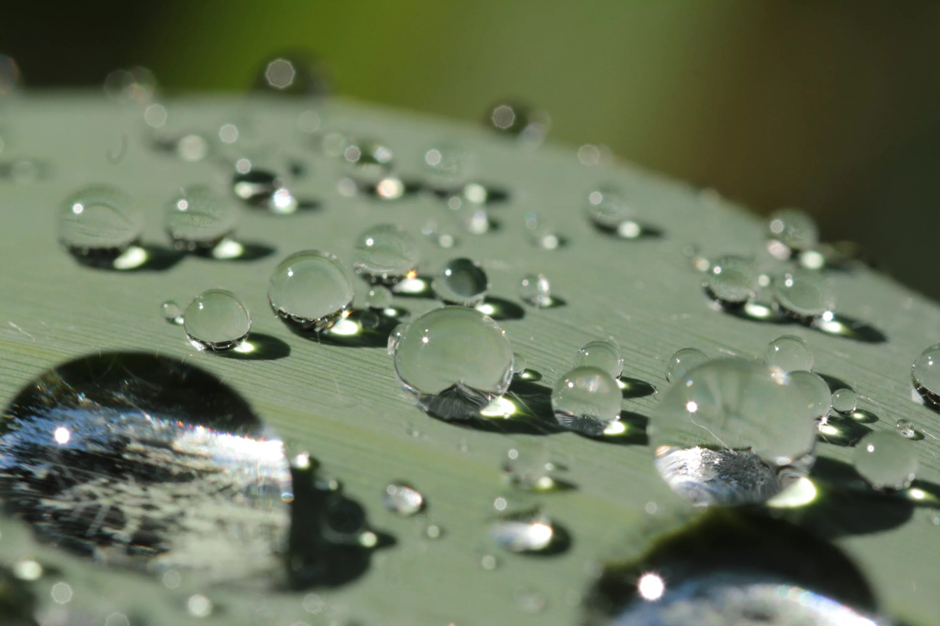 Капли воды. Капли воды на стекле. Капля воды на стекле. Капли воды на стеклянной поверхности. Увеличение капли воды