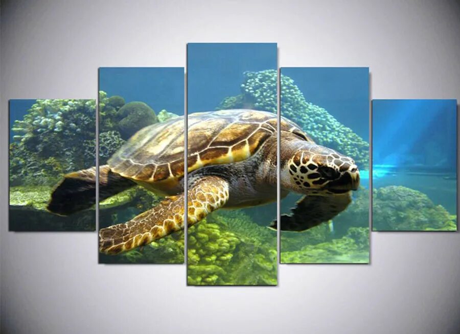 Возможность изображения картинки на экране холста turtle