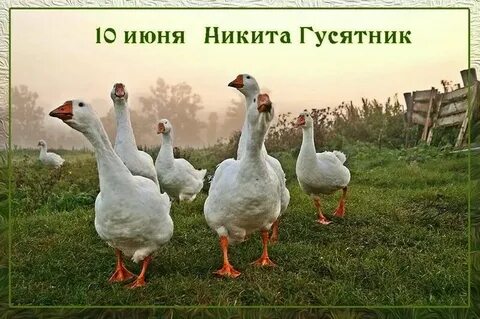 Десятого июня