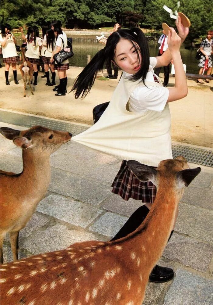 Забавное японское. Японские приколы. Котики и роллы. Смешные детские костюмы. Забавное японское.