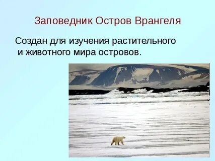 Остров врангеля это государственный заповедник