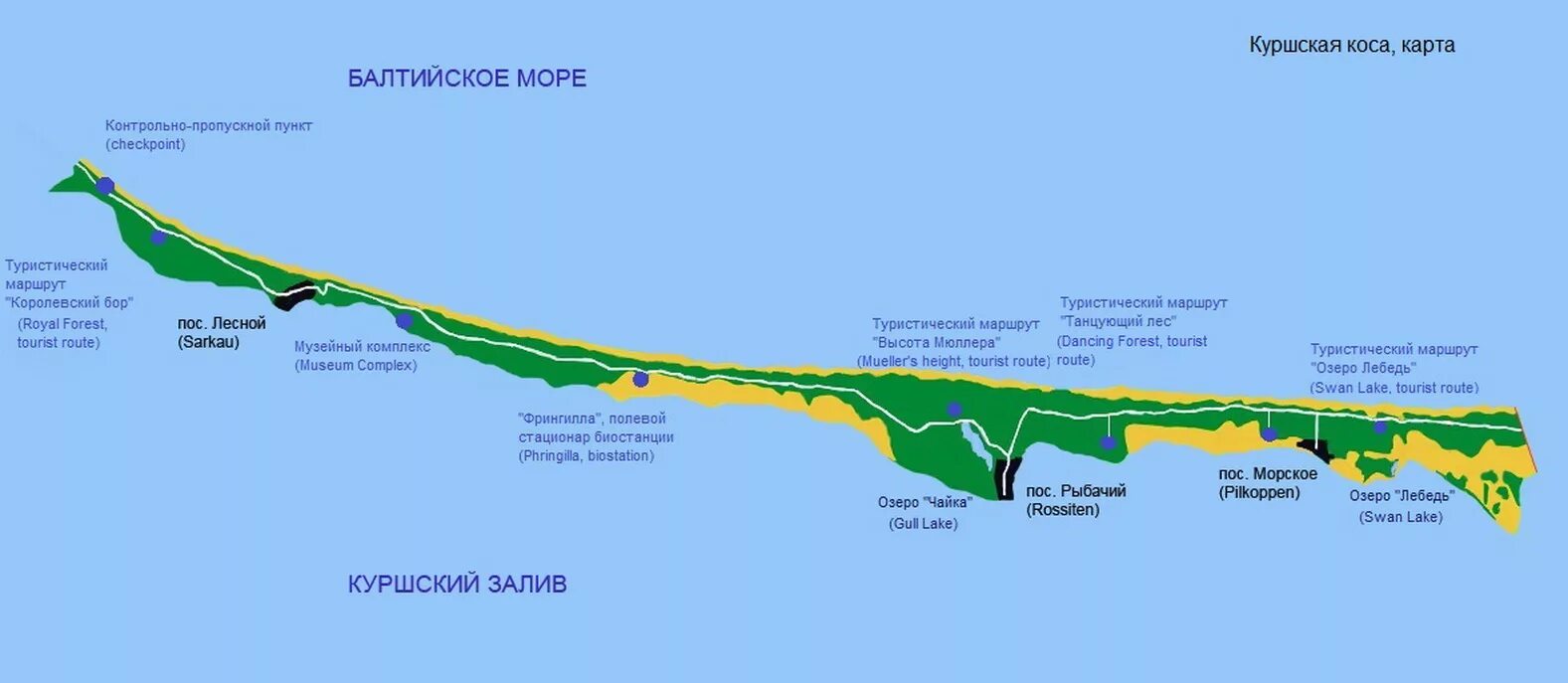 Национальный парк Куршская коса карта с достопримечательностями. Карта национального парка Куршская коса. Карта Куршской косы Калининградская область с поселками. Калининград национальный парк Куршская коса карта. Какова общая протяженность балтийской косы в километрах