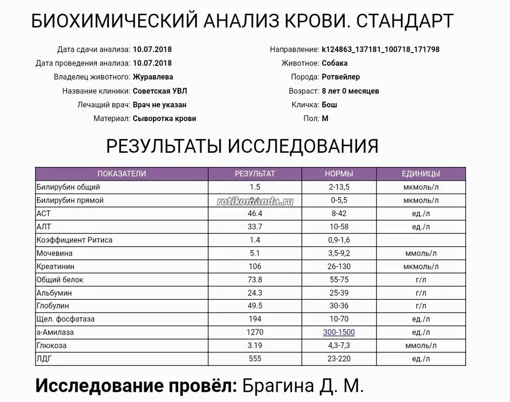 Общая биохимия крови норма. Показатели крови биохимия, кальций. Биохимический анализ кальций норма. Стандарт показатели биохимического анализа крови человека. Биохимический анализ крови кальций норма.