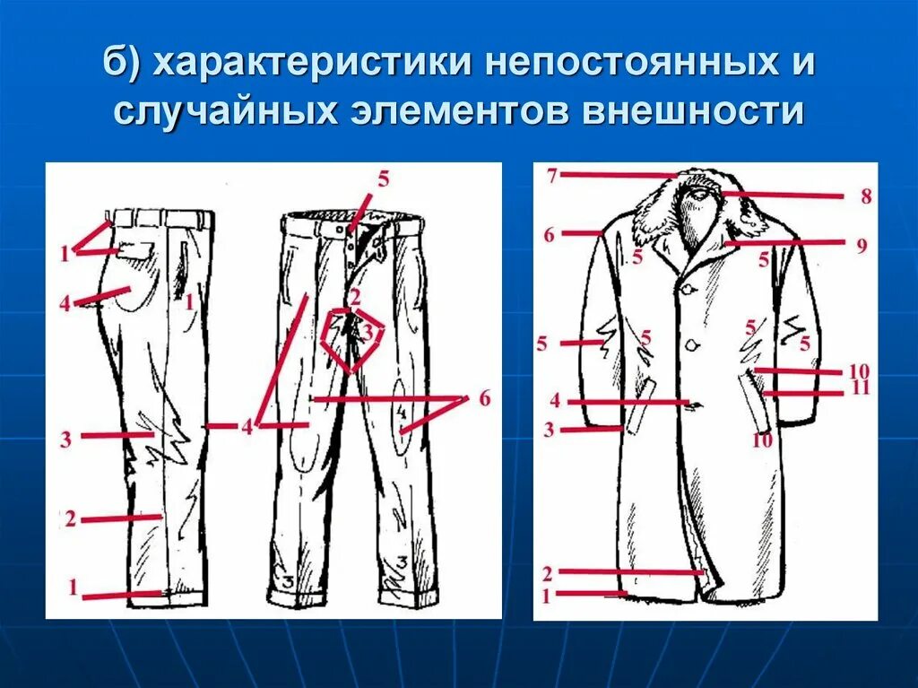 Источники информации о внешности человека. Криминалистическое учение о внешнем облике человека. источники информации о внешнем облике человека криминалистика. простоватость в внешнем облике. описание внешнего облика изделия ъ.