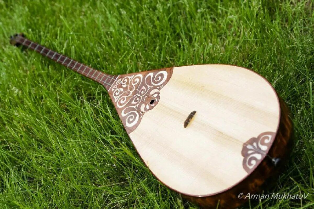 Думбра. Музыкальная инструменты казахи домбра. Домбра бас музыкальный инструмент. Думбра. Казахский музыкальный инструмент домбра.