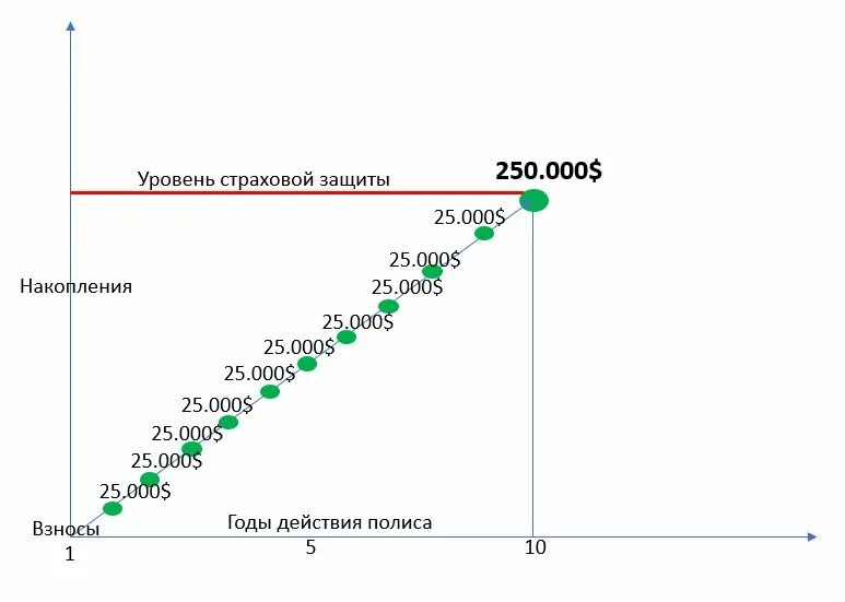 Накопительное страхование жизни. График накопительного страхования жизни. Полис накопительного страхования. Программы накопительного страхования жизни.