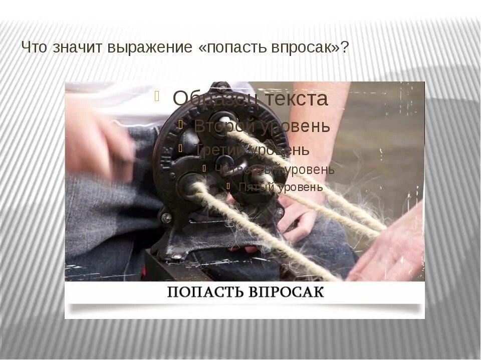 Выражение попасть. Впросак это значит. что значит выражение попасть впросак. попасть впросак. фразеологизм попасть впросак.