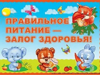 Правильное питание детей залог здоровья