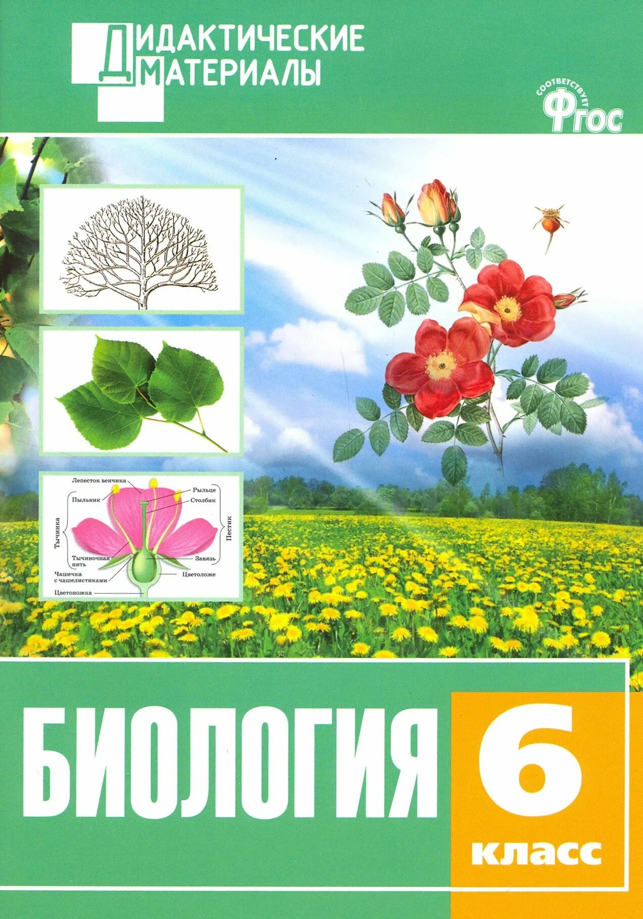 Царства живой природы стенд. Биология материал. Стенды для кабинета биологии. Биологический материал человека. Биология материал.