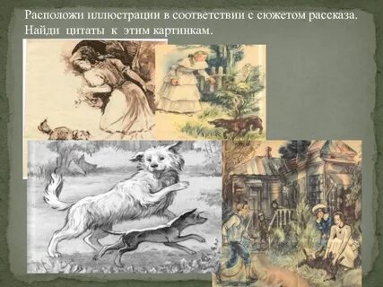 Расположите иллюстрированные