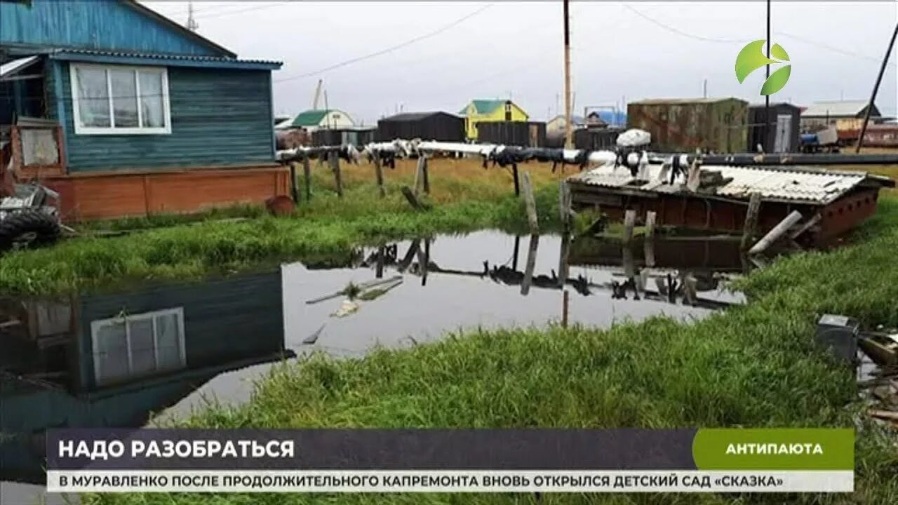 Посёлок Антипаюта Тазовский район. Село Антипаюта. Село Антипаюта Тазовского района. Антипаюта фото 2020. Рп5 антипаюта