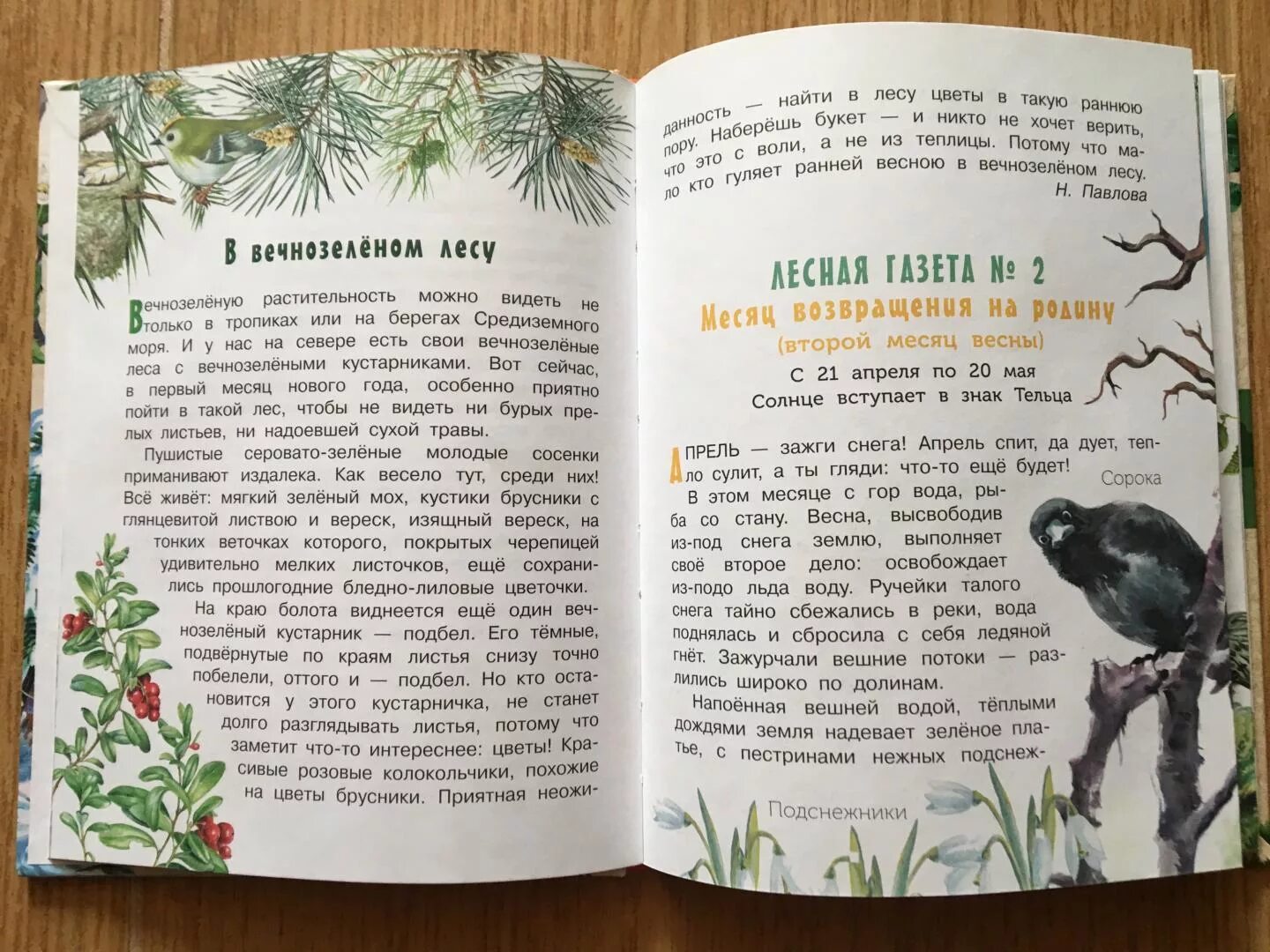 Страница найдена читать. В.В.Бианки из книги "Лесная газета".