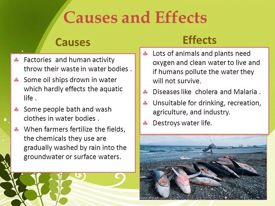 Water pollution презентация. What causes Water pollution. Causes of Water pollution. Водное загрязнение на английском.