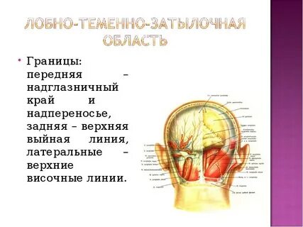 Пограничная область языка