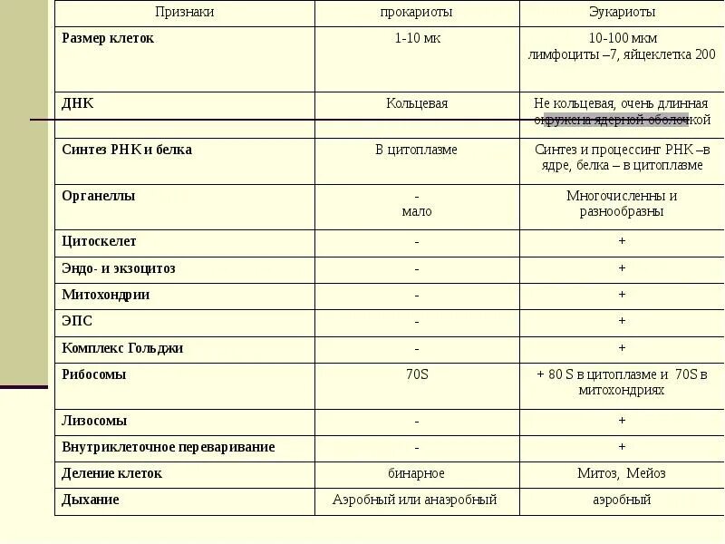 Прокариоты основной признак. Характерные признаки прокариот и эукариот. Особенности прокариотической и эукариотической клетки таблица. Строение клеток прокариот и эукариот таблица. Отличительные признаки прокариот и эукариот таблица.