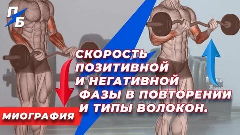Негативная фаза