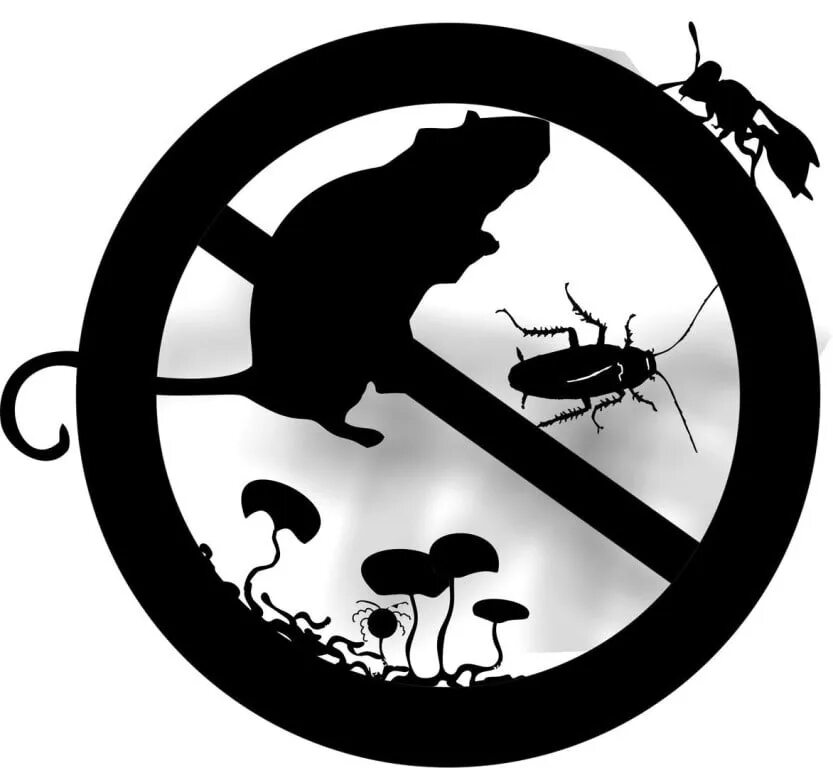 Травля тараканов. Дератизация значок. Дезинфектор клопы тараканы. Травля насекомых. Зачеркнутый таракан.