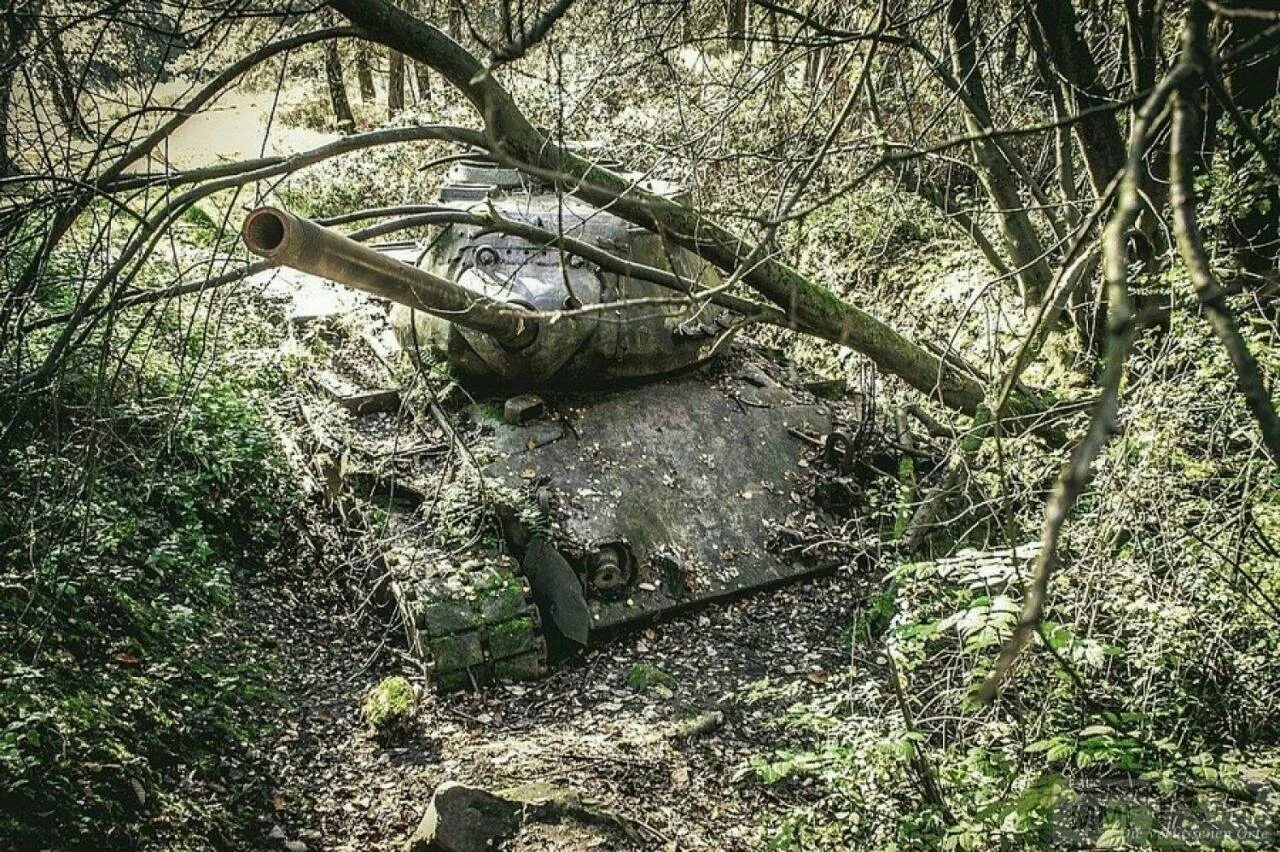 Эхо военные. Эхо войны картинки. Веймарн Эхо войны.