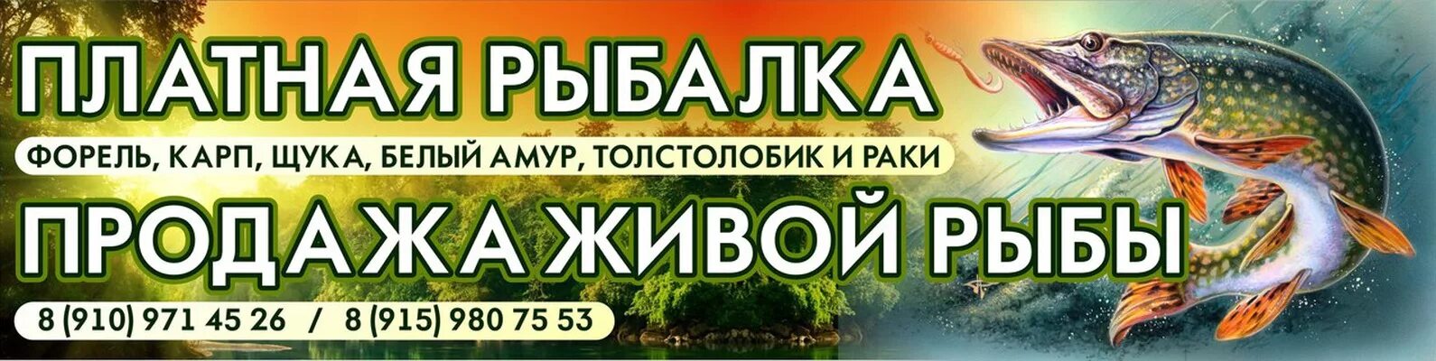 Канал живи рыбалкой. Рыболовный магазин баннер. Баннер платная рыбалка. Рыбалка реклама баннер. Визитка рыболовного магазина.