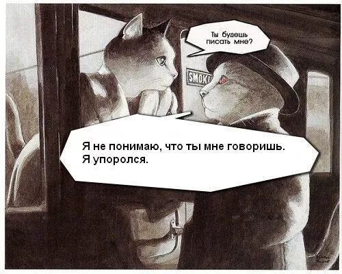 Тут написано говорите