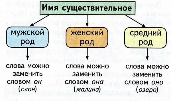 Мужской женский средний род. Имя существительное род. Существительные мужского женского и среднего рода. Мужской средний женский род имен. Девушка какой род