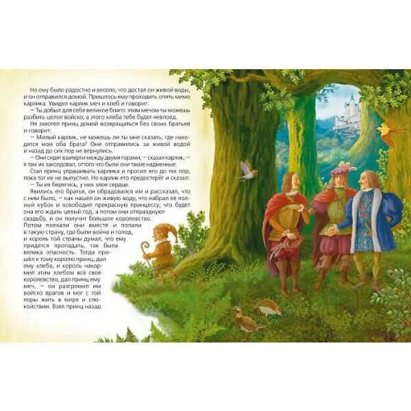 Живая вода сказка братьев гримм. Братья гримм живы. Живая вода сказка братьев гримм. Живая вода пластинка братья гримм. Братья гримм группа 2005.