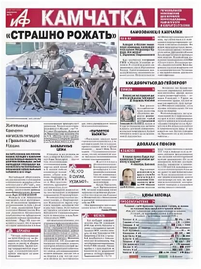 Аиф камчатка. Аиф камчатка