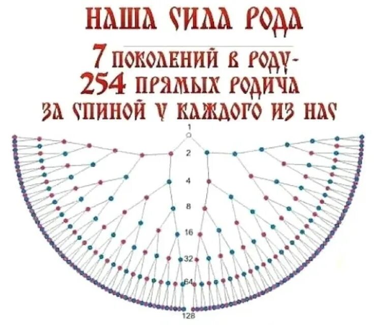 Схема рода человека. Схема семи поколений рода. Генограмма 7 поколений рода схема. Птица рода 7 поколений. Древо рода 7 поколений.