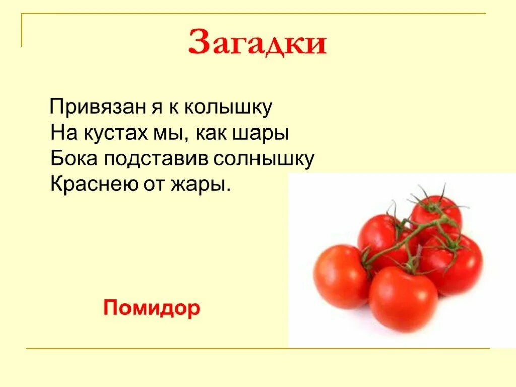 Помидор имя прилагательное подобрать. Томат загадка. Загадка про помидор. Загадка про помидор для детей. Стих про помидор.