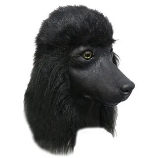 Голова пуделя