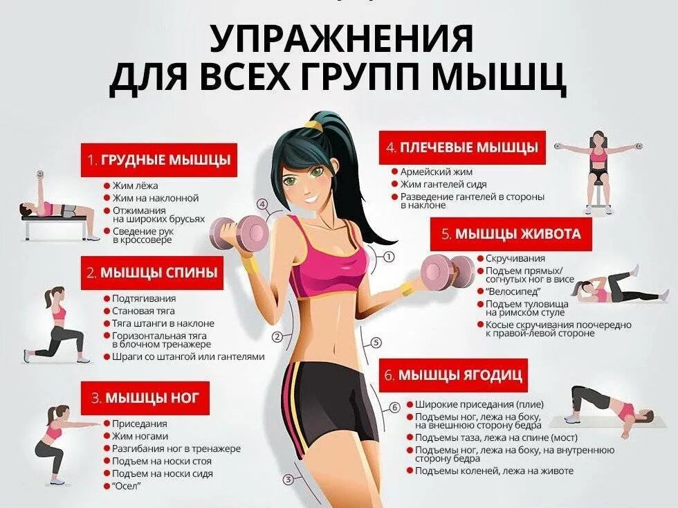 Программа мышцы. План тренировок для похудения. План для похудения для девушек. План домашних тренировок для похудения. Тренировки на похудение для женщин.