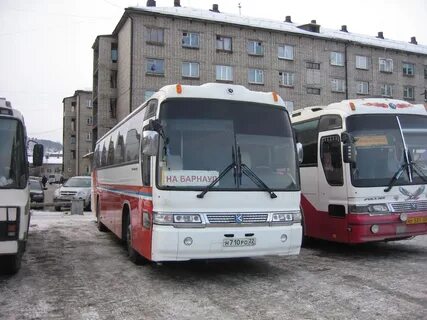 Автобусы новосибирск бийск завтра