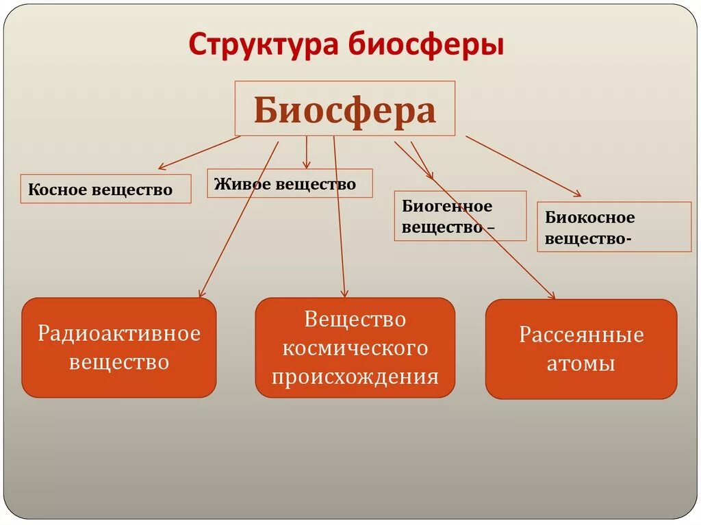 Биосфера инфоурок