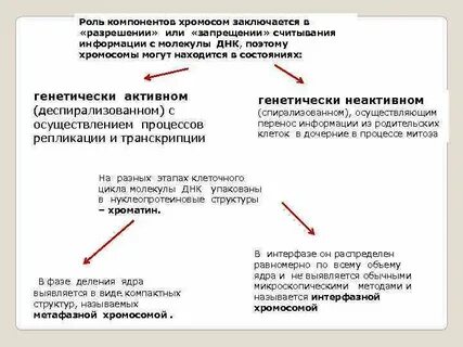 Компоненты роли