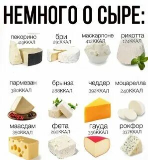 В каком сыре мало соли. В каком сыре мало соли