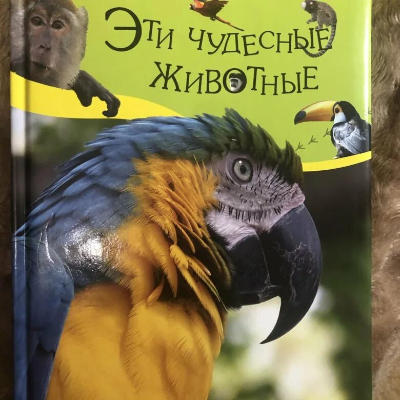 Эти чудесные животные