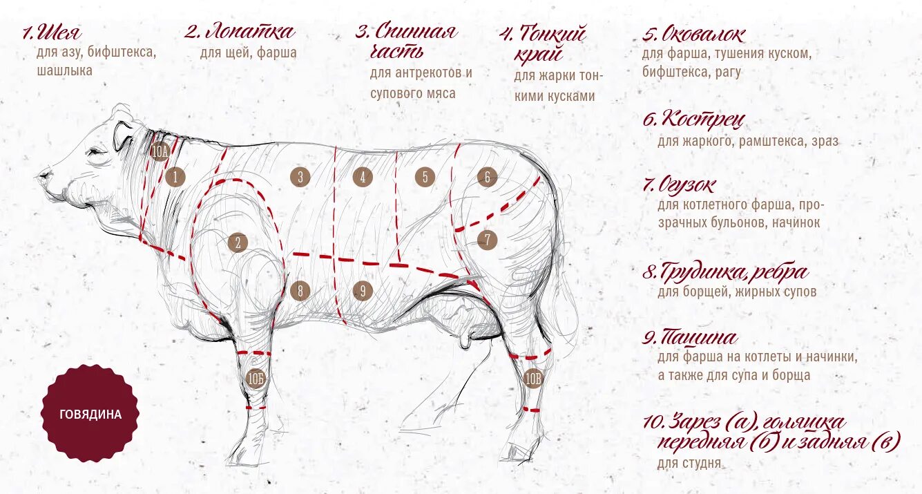 Какая говядина лучше для шашлыка