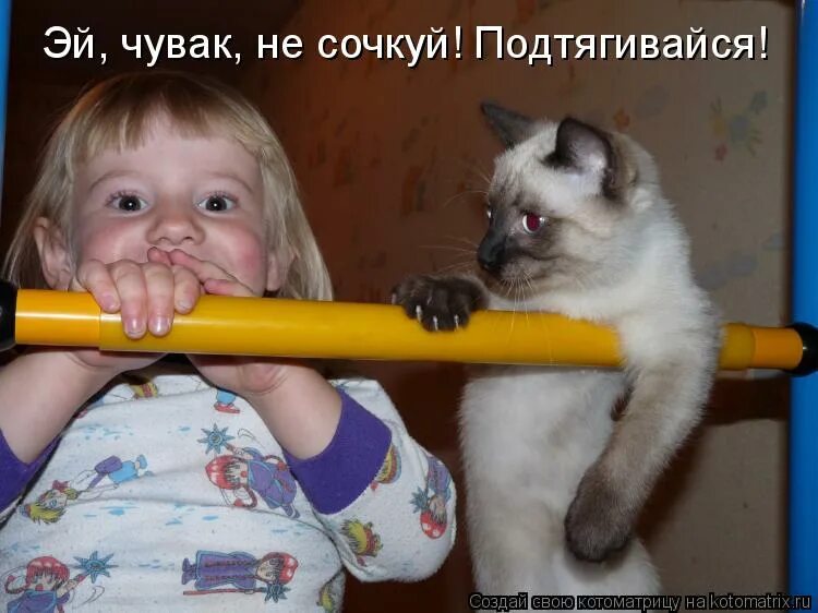 сочкует или сачкует