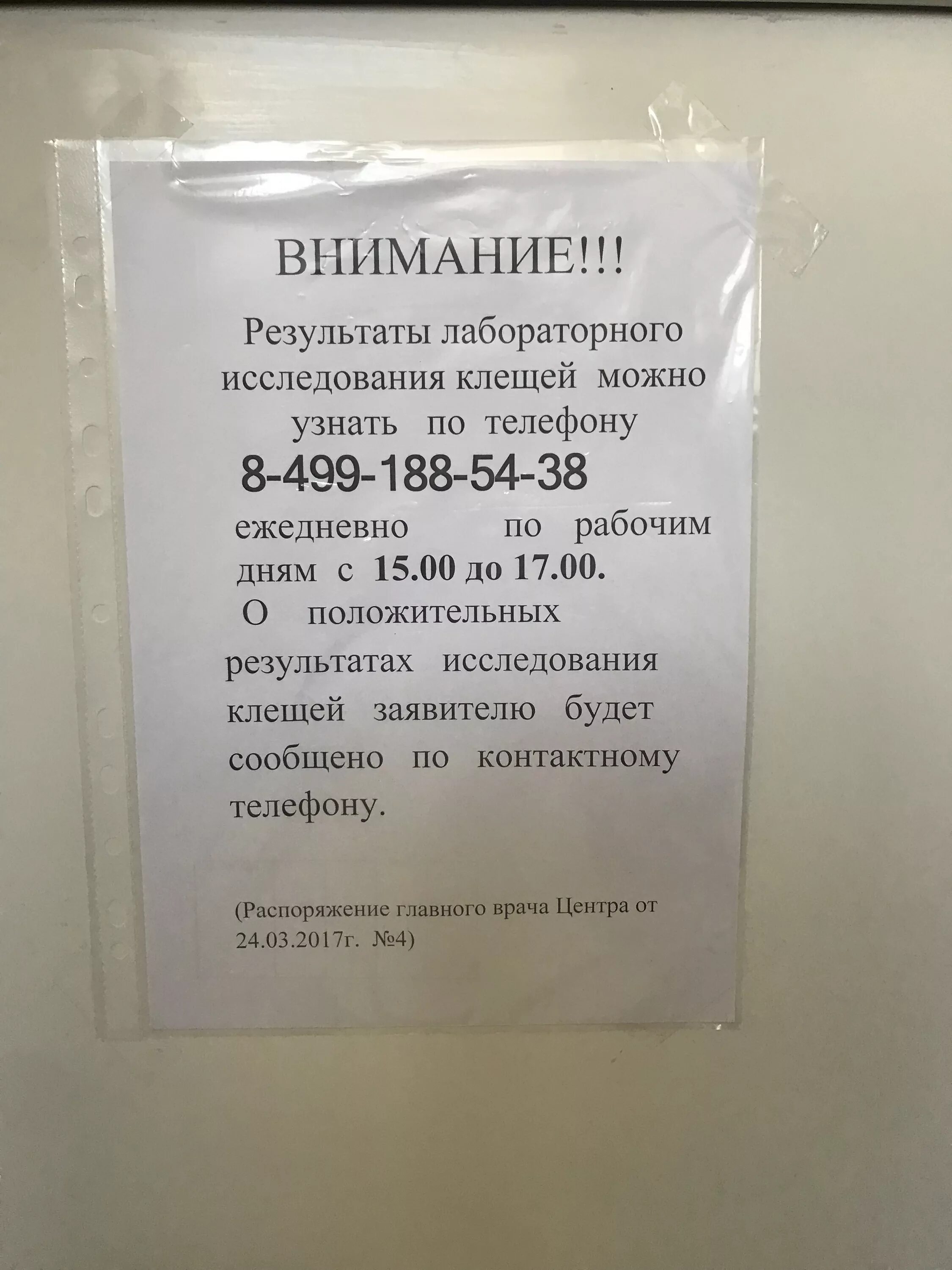 Где сдать клеща на анализ. Куда сдать клеща на анализ. Куда сдать клеща на исследование. Где принимают клещей на анализ.