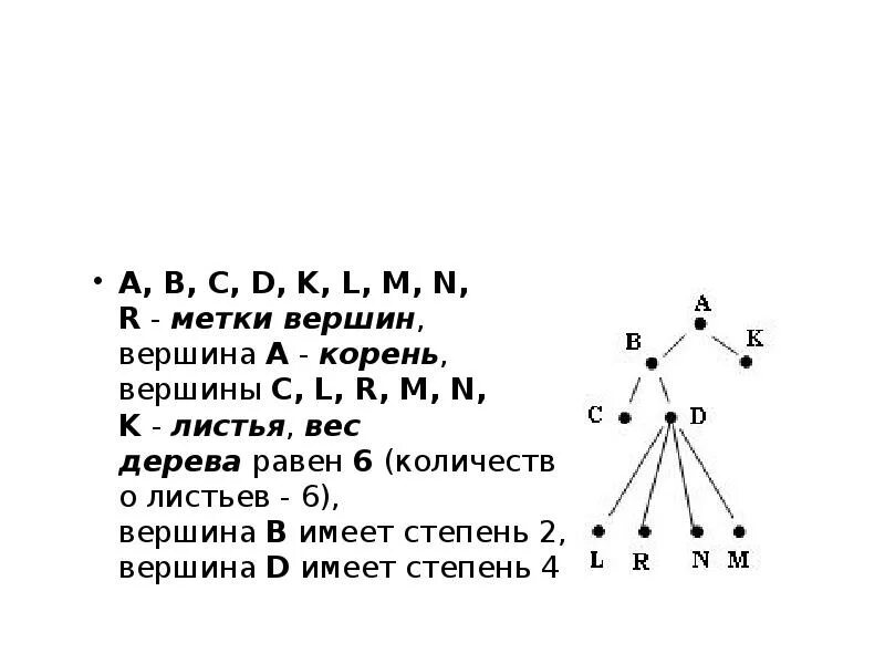 Найди слова вершина. Вершина корня. Количеств листовых вершин. Степень вершины дерева. Количество вершин дерева равно.