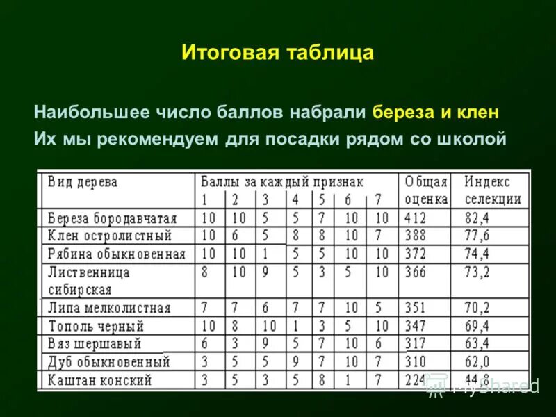Общее количество баллов какой тип поля. Большие таблицы. широкая таблица. таблица с большим количеством записей. большую таблицу цифорок.