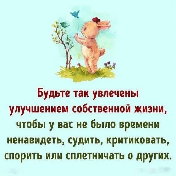 Собственной жизнью выйти и сказать. Будьте так увлечены улучшением собственной жизни. позитивные фразы. позитивные высказывания. будьте заняты улучшением собственной жизни.