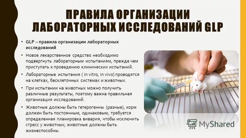 Какой предварительный обработке следует подвергать ткани