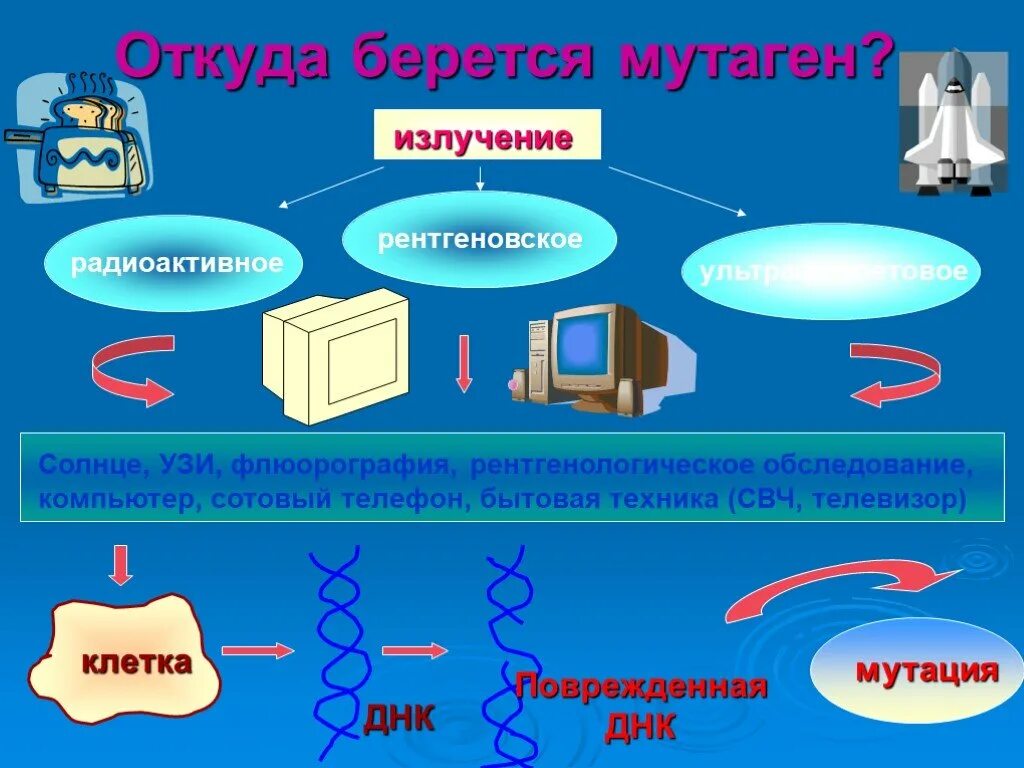 Откуда берется информация. Откуда берется интернет. Откуда берется информация в интернете. Откуда интернет. Откуда берётся инет.