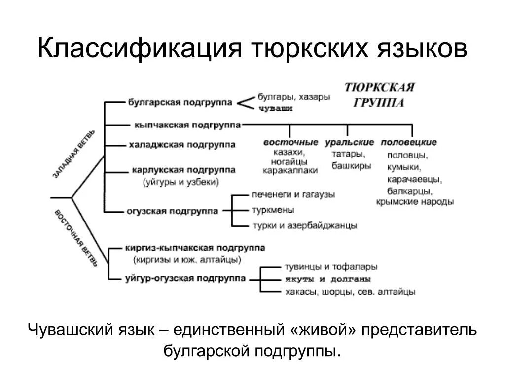 К тюркской группе алтайской семьи относится. Тюркская группа языков. Тюркской ветви Алтайской семьи. Баскаков тюркские языки классификация. Тюркская семья языков список языков.