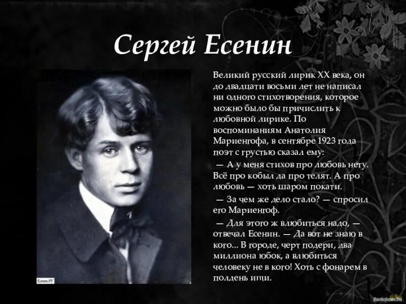 Есенин известные стихотворения