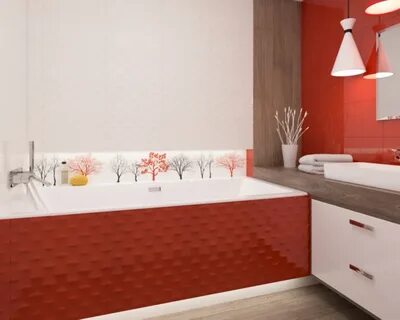 Paradyz