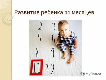 11 месяцев жизни