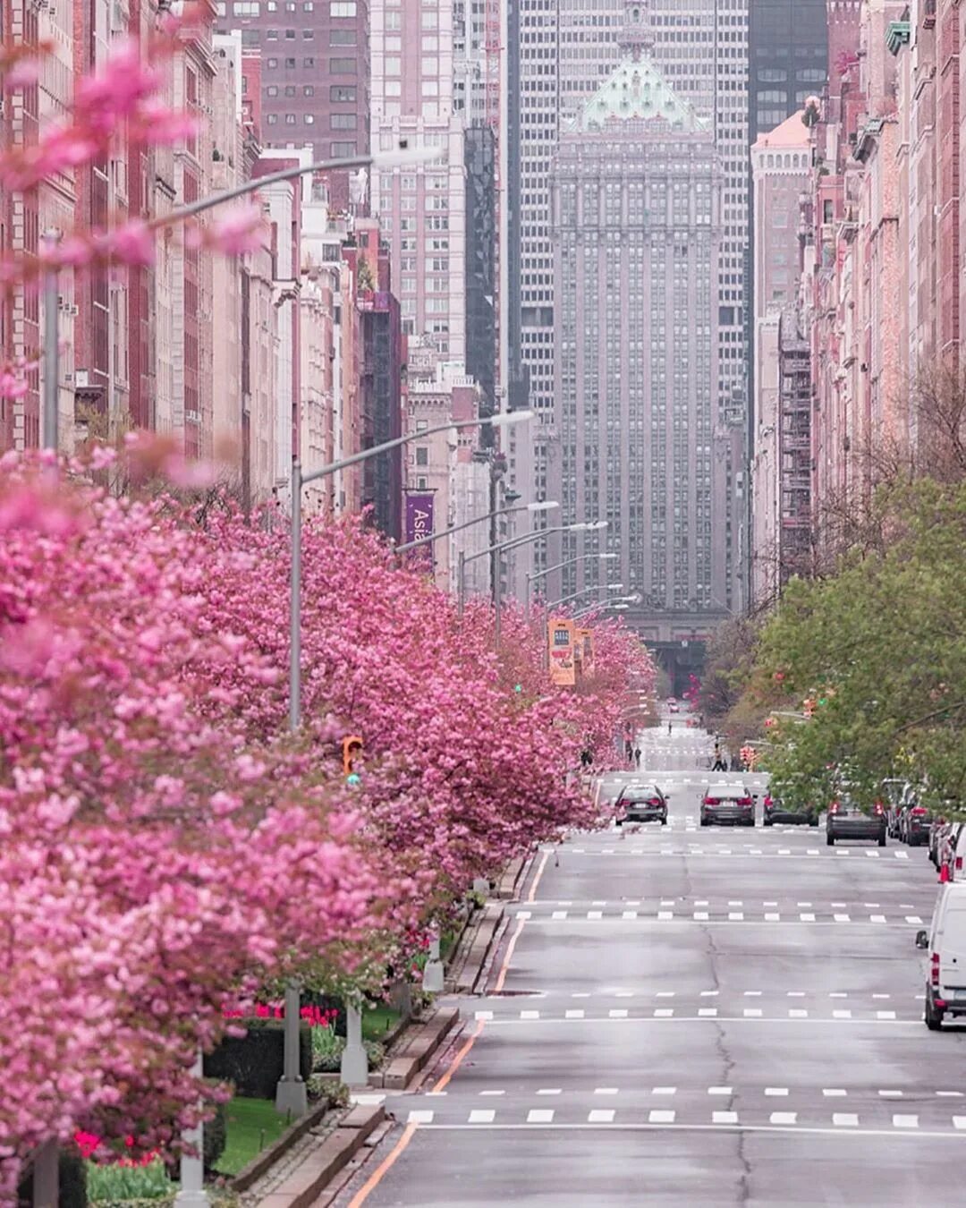 Spring central